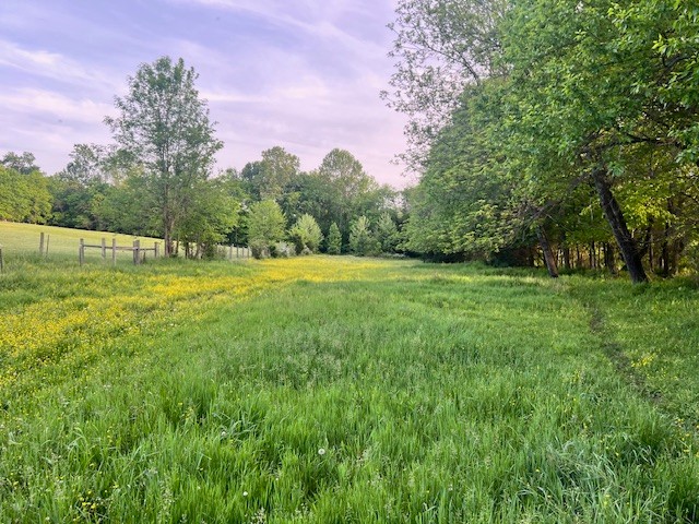 698 Clearview Road Cottontown TN 37048