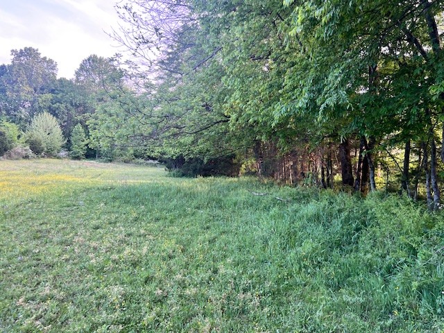 698 Clearview Road Cottontown TN 37048