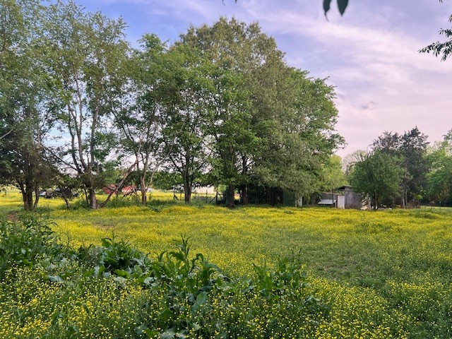 698 Clearview Road Cottontown TN 37048