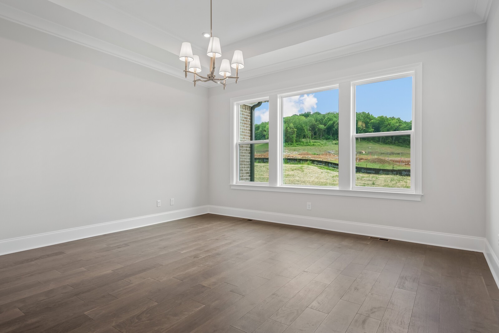 536 Divine Court Arrington TN 37014