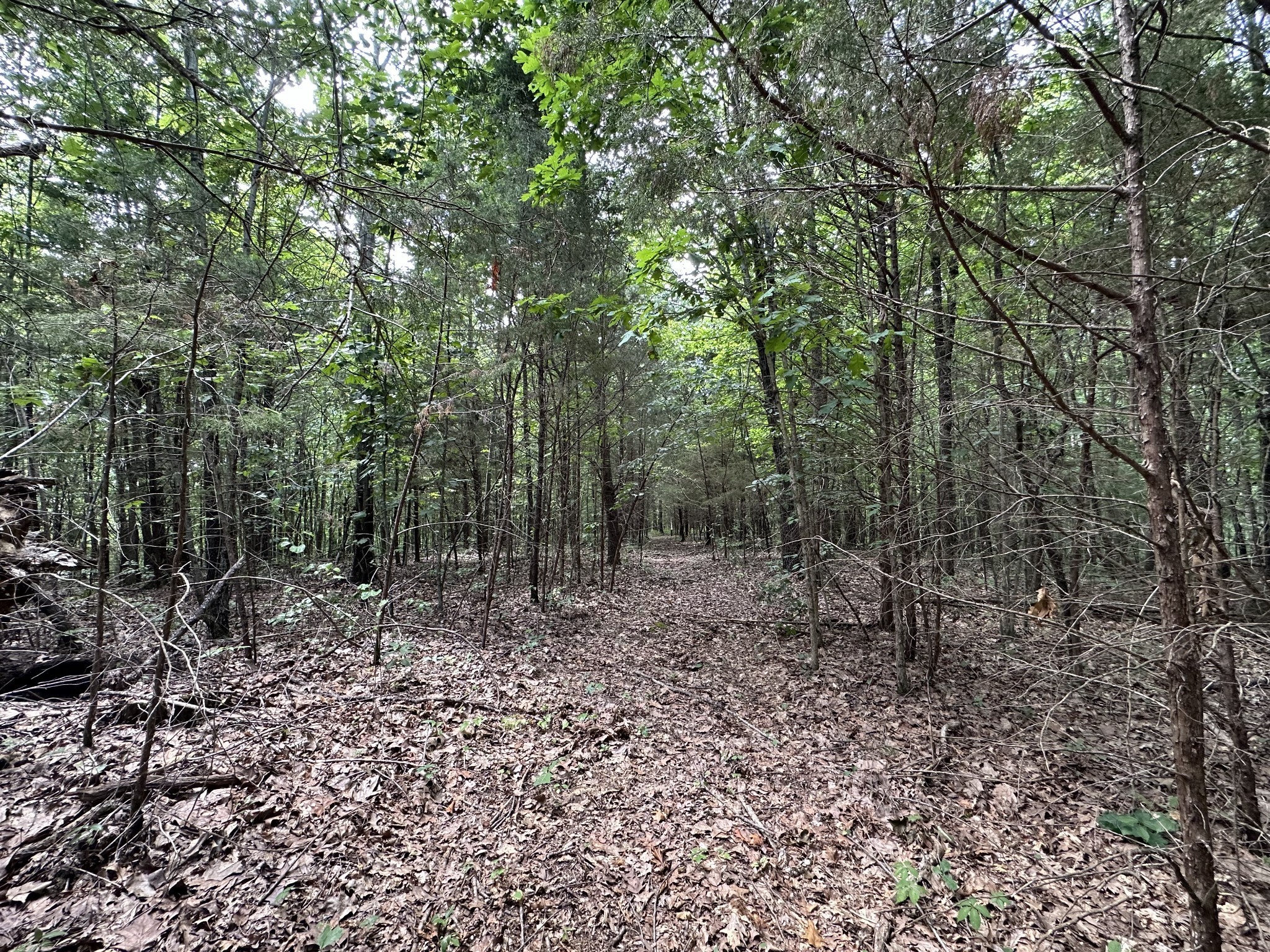0 Kirby Hill Road Ashland City TN 37015