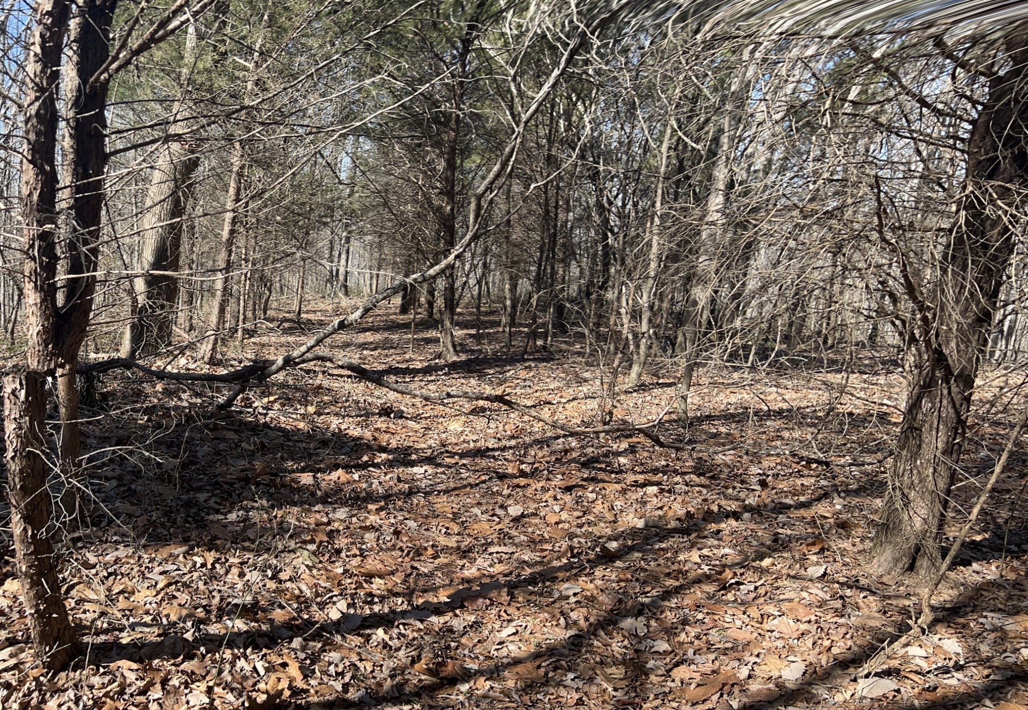 0 Kirby Hill Road Ashland City TN 37015