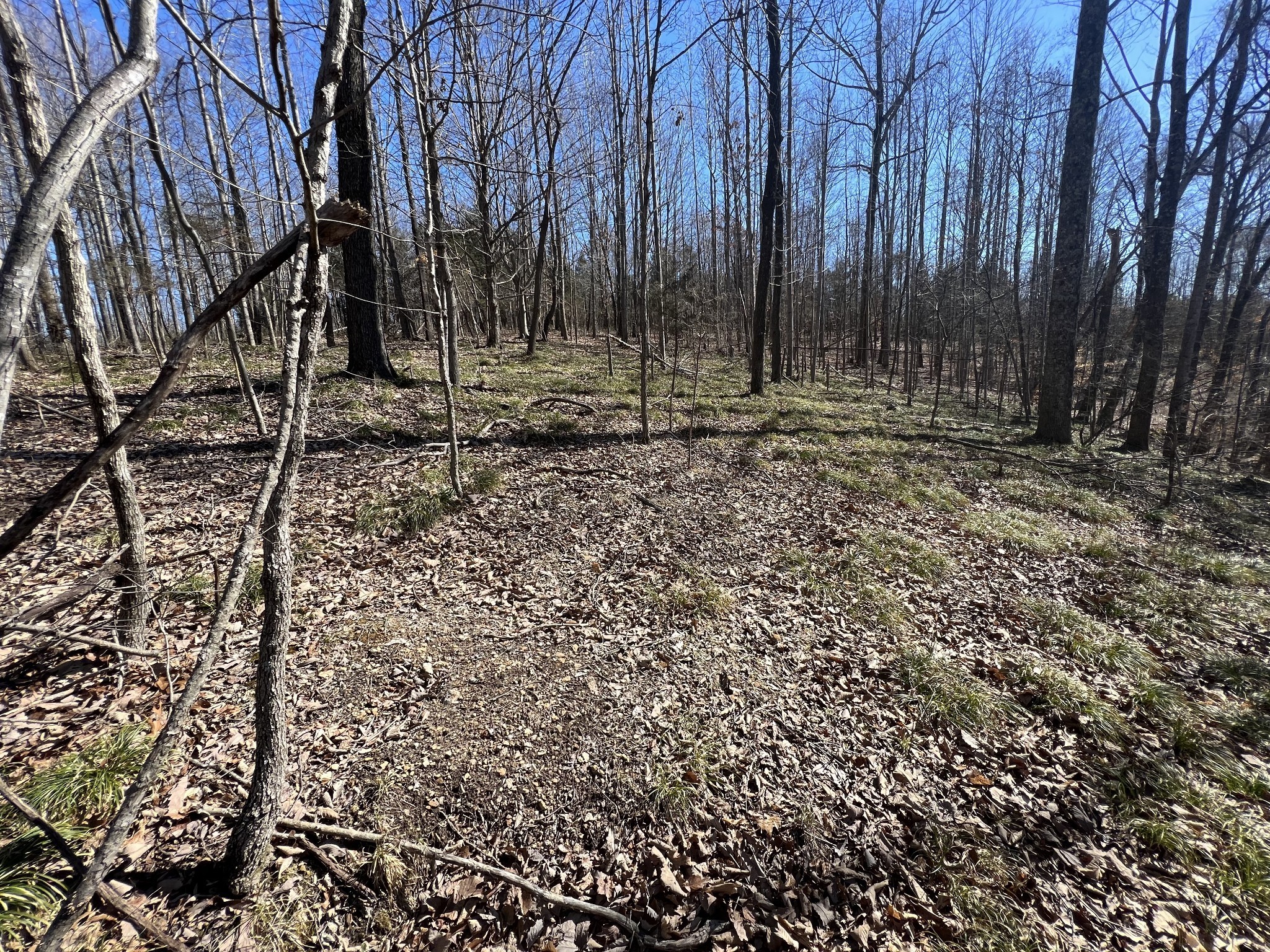 0 Kirby Hill Road Ashland City TN 37015