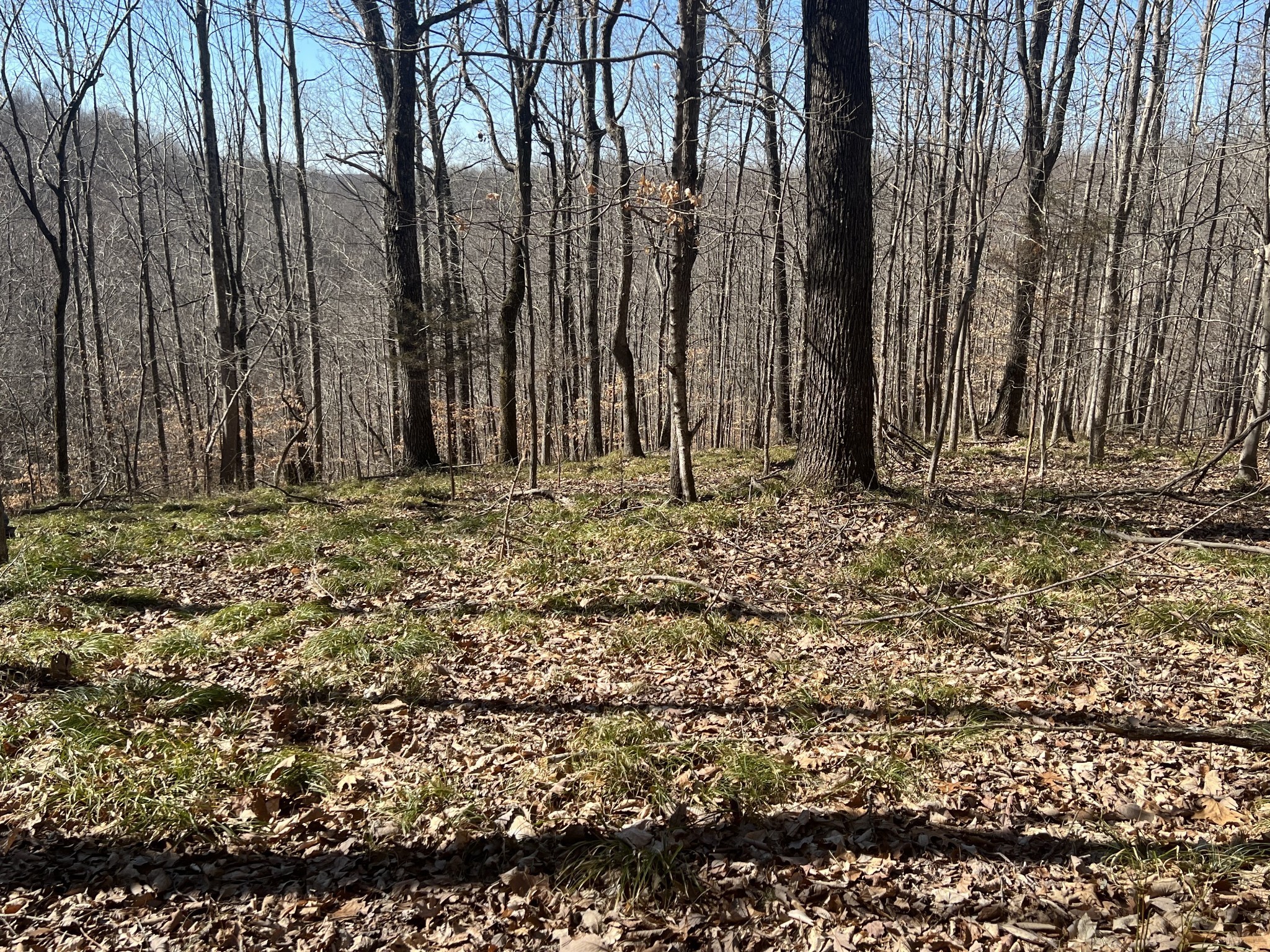 0 Kirby Hill Road Ashland City TN 37015