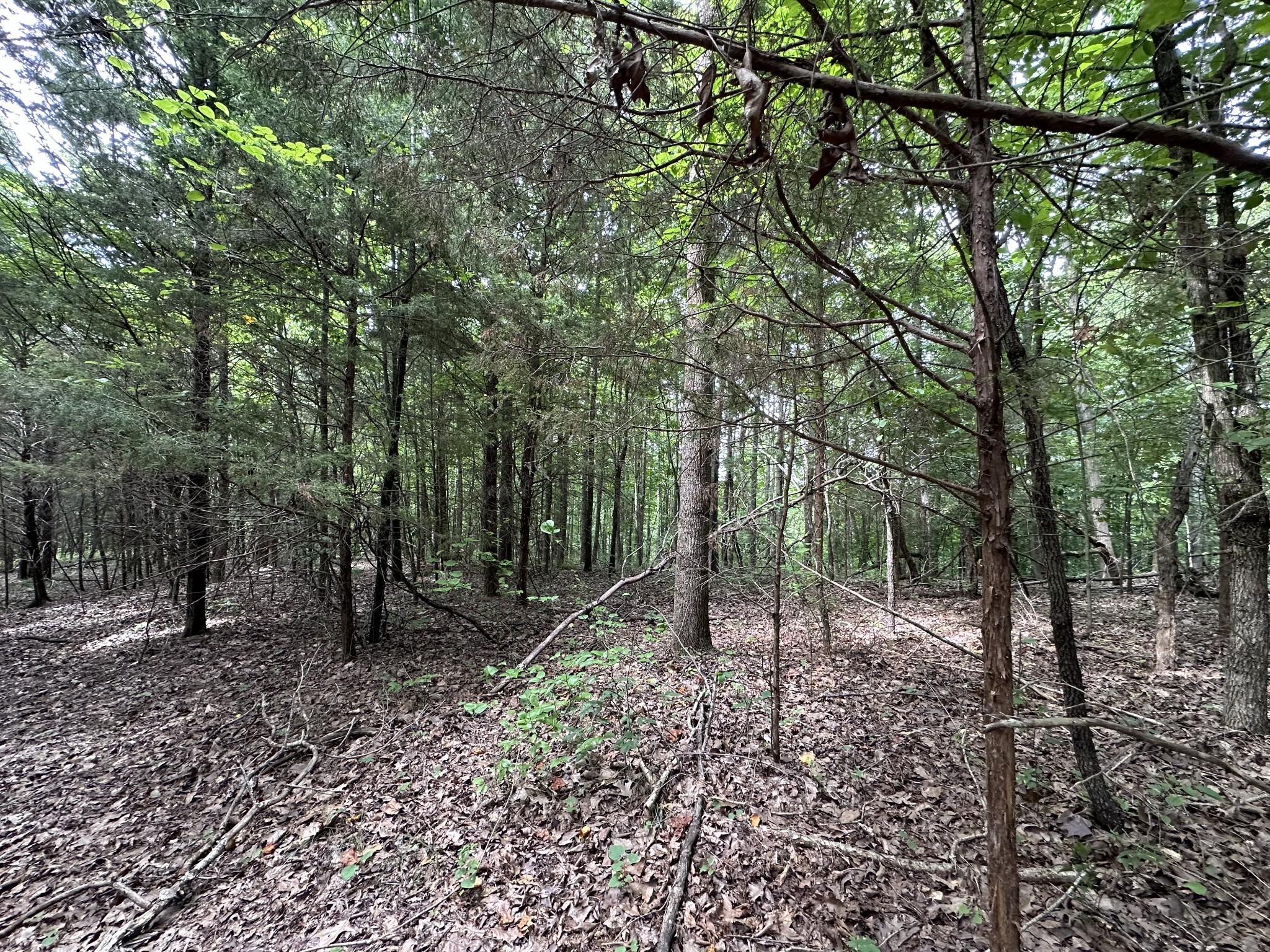 0 Kirby Hill Road Ashland City TN 37015