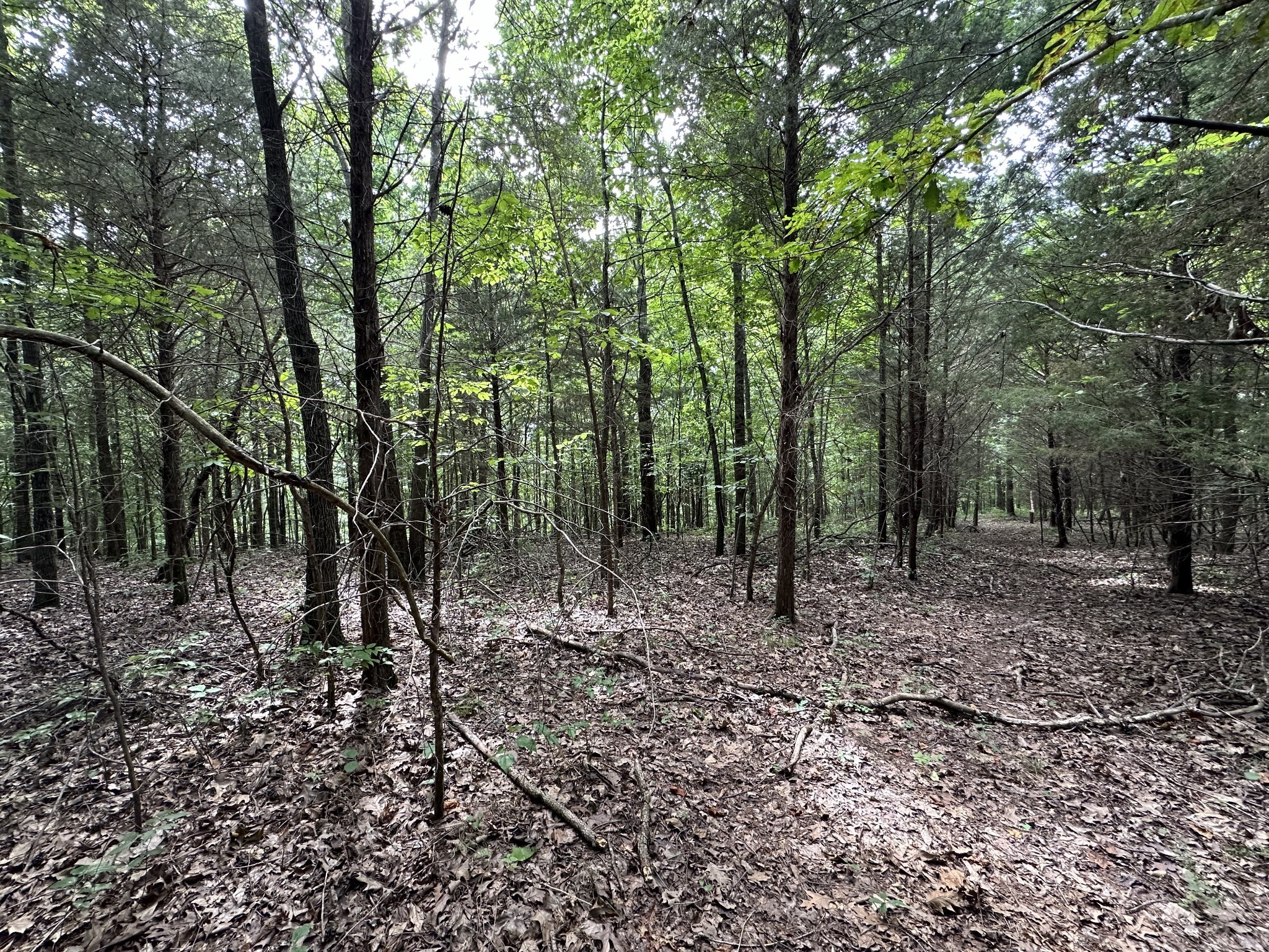 0 Kirby Hill Road Ashland City TN 37015