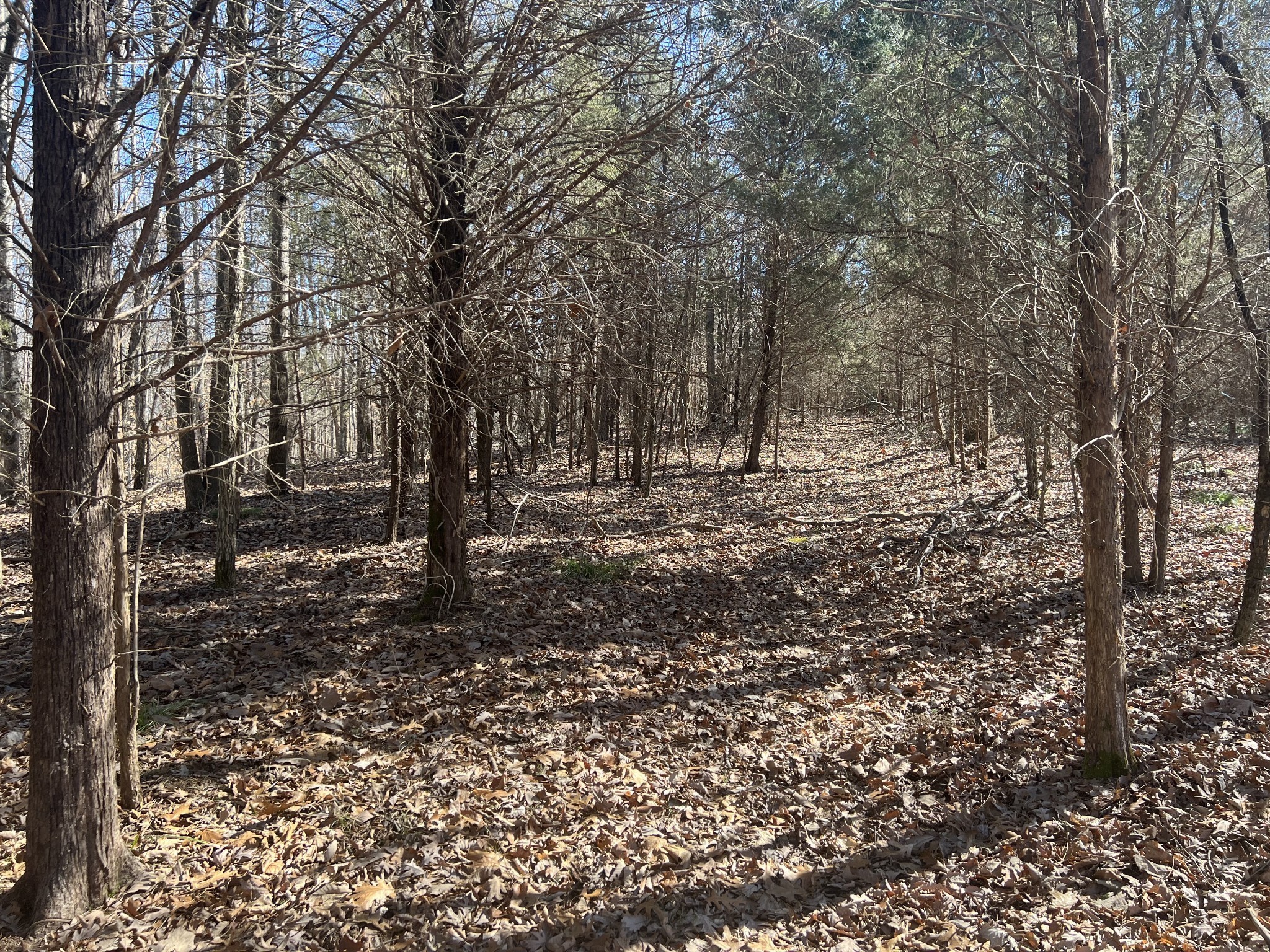 0 Kirby Hill Road Ashland City TN 37015