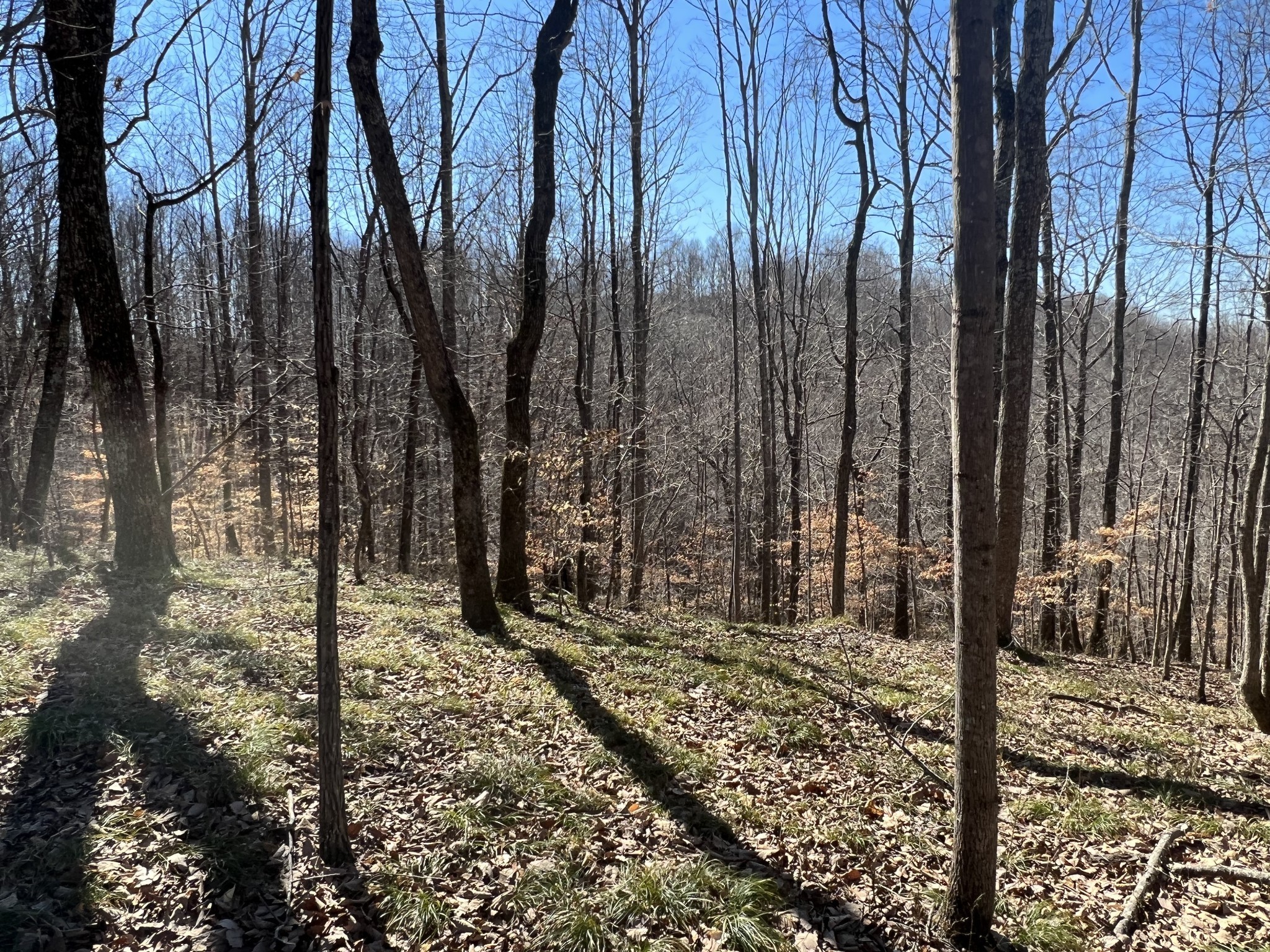 0 Kirby Hill Road Ashland City TN 37015