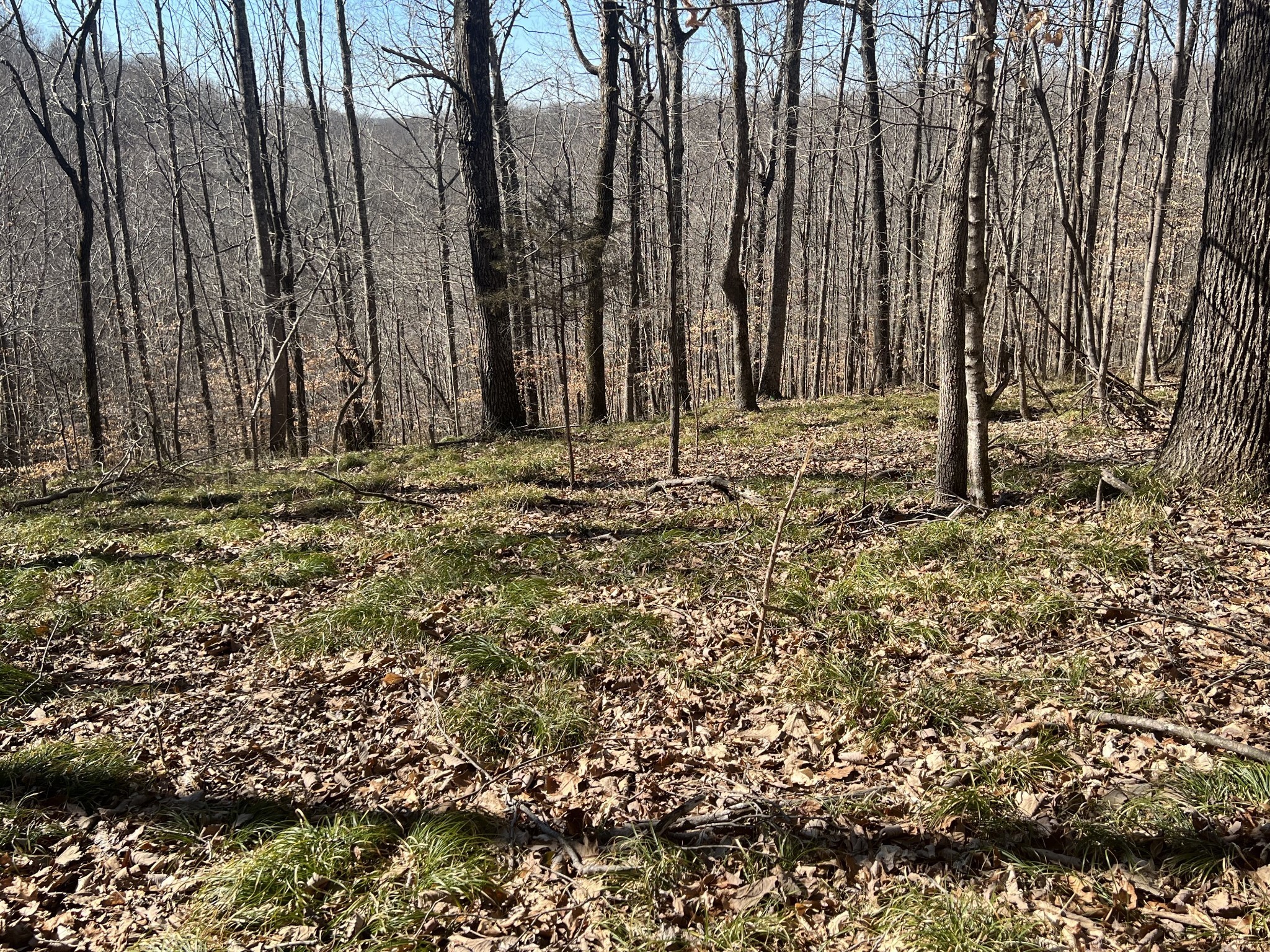 0 Kirby Hill Road Ashland City TN 37015
