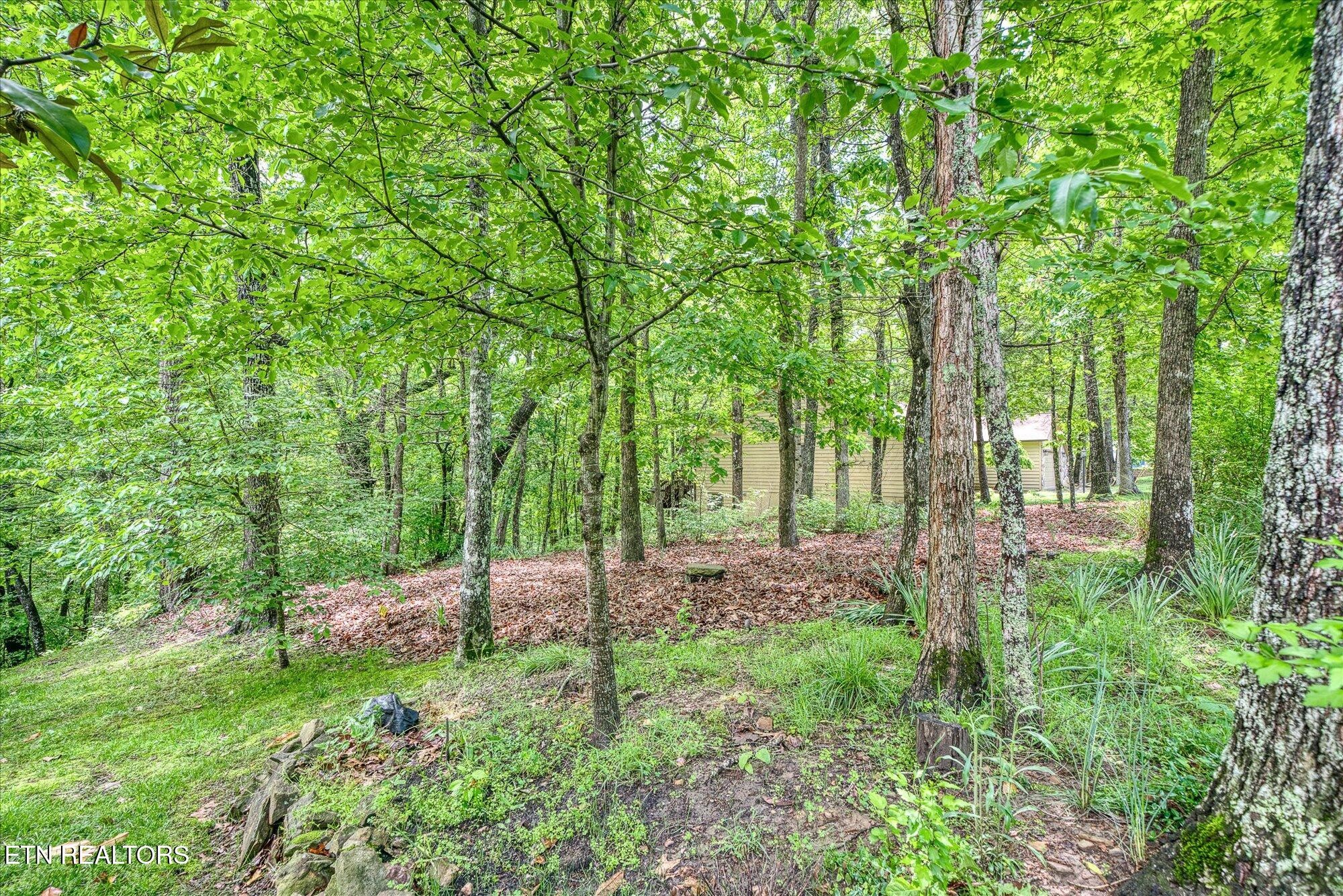 182 Canterbury Drive Crossville TN 38558