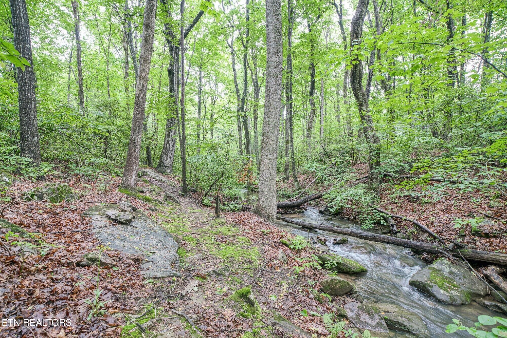 182 Canterbury Drive Crossville TN 38558