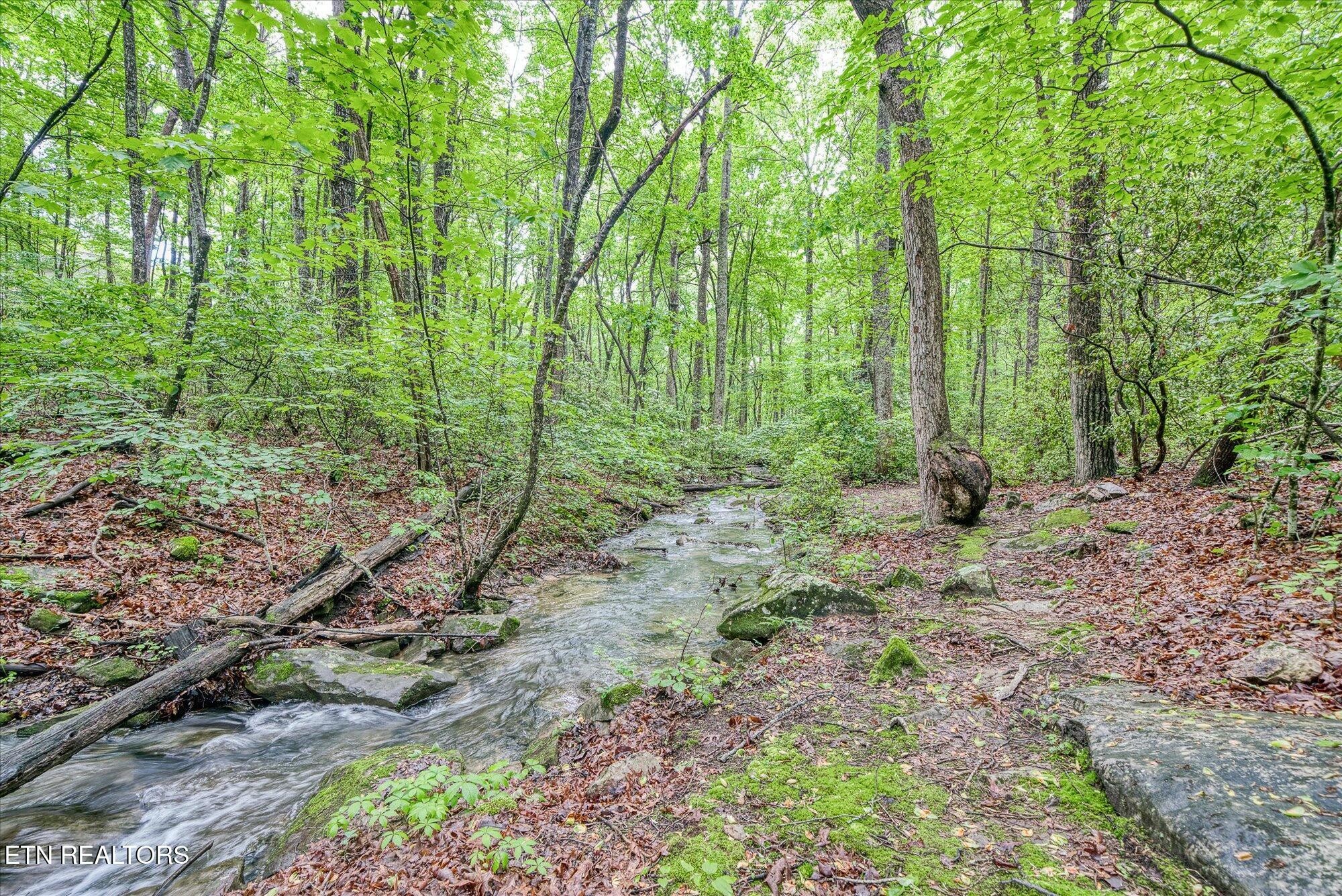 182 Canterbury Drive Crossville TN 38558