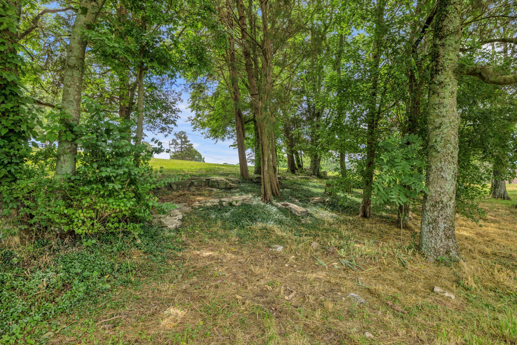 6261 Lampkins Bridge Road College Grove TN 37046