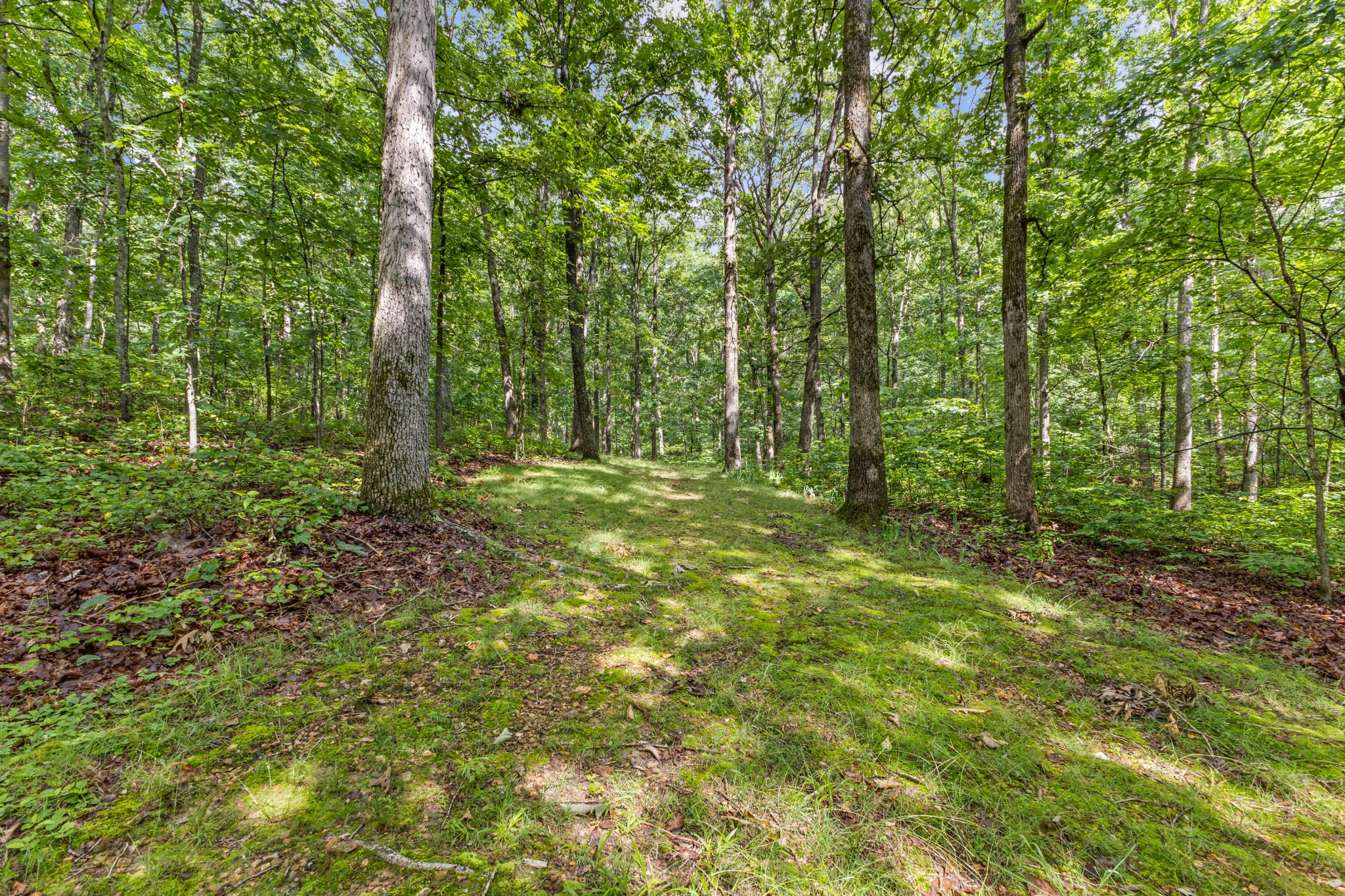 4045 Old Nashville Highway Mc Ewen TN 37101
