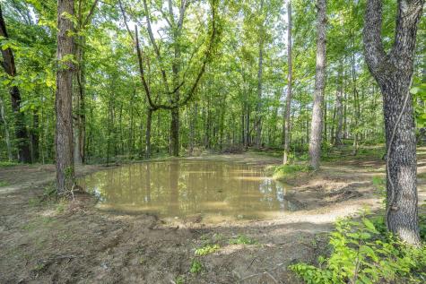 5525 Holland Creek Road Savannah TN 38372