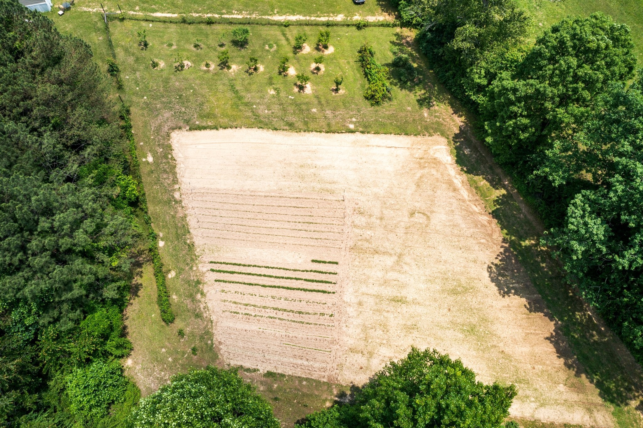 295 Fletcher Road Gruetli Laager TN 37339