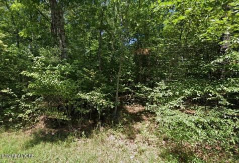 2025 Menasha Drive Crossville TN 38572