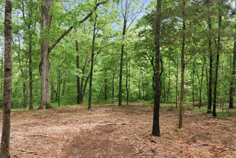 0 Willow Springs Road Lyles TN 37098