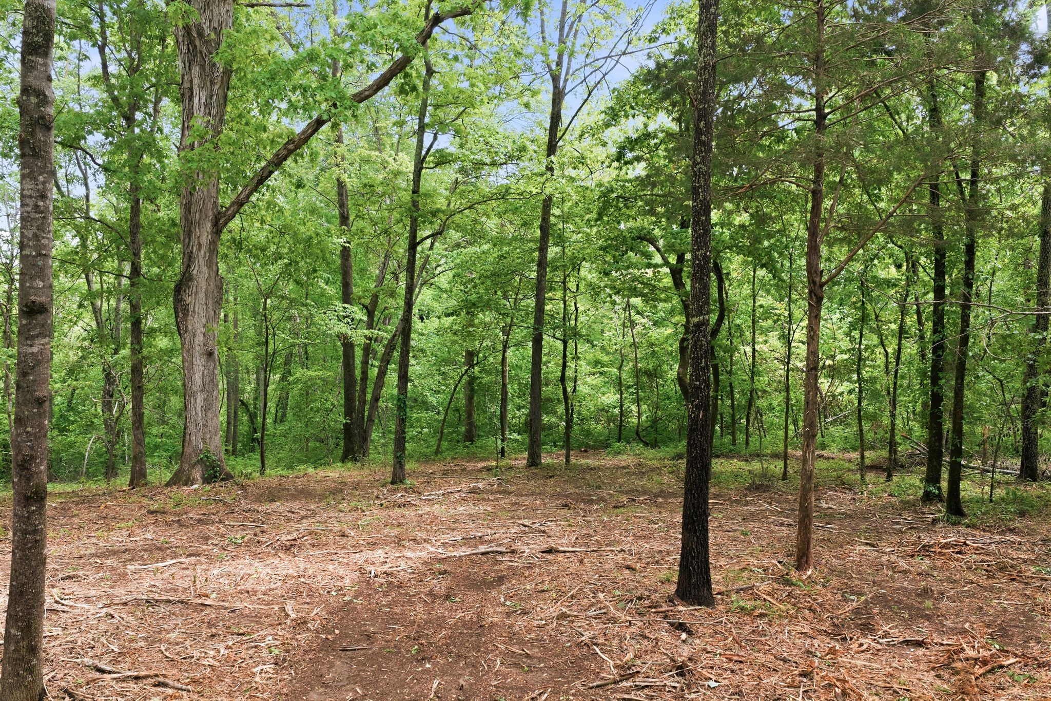 0 Willow Springs Road Lyles TN 37098