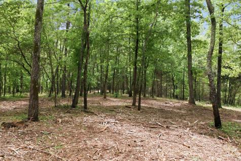 0 Willow Springs Road Lyles TN 37098
