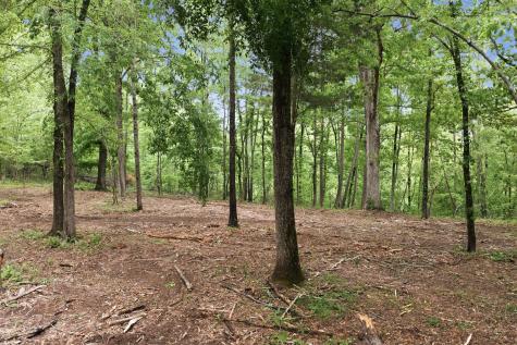 0 Willow Springs Road Lyles TN 37098