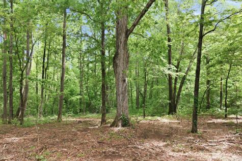 0 Willow Springs Road Lyles TN 37098