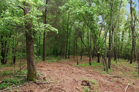 0 Willow Springs Road Lyles TN 37098