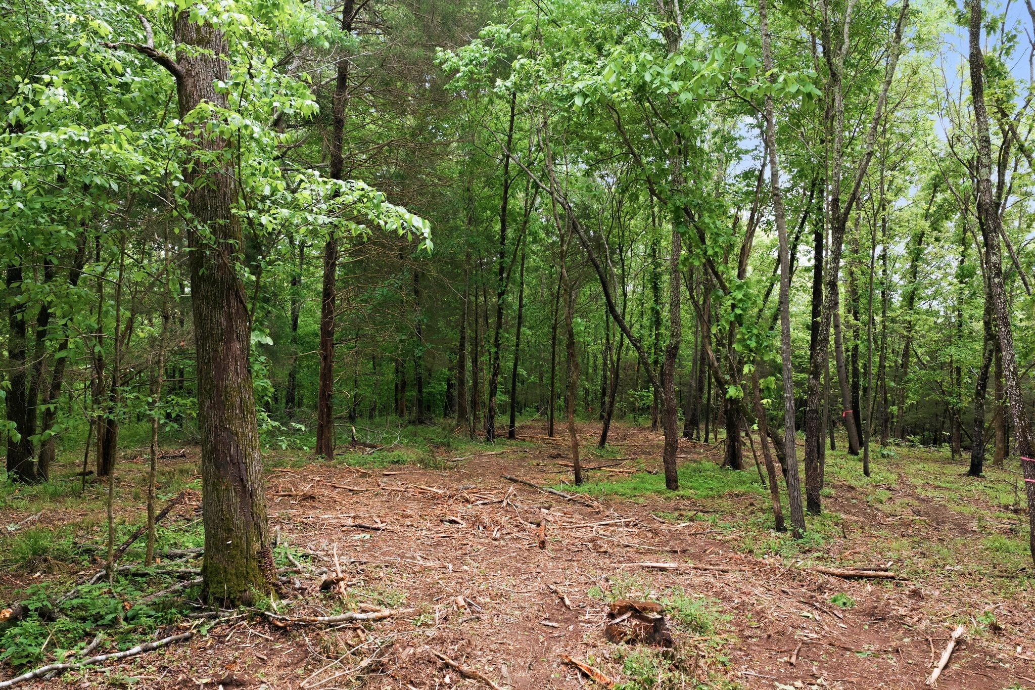 0 Willow Springs Road Lyles TN 37098