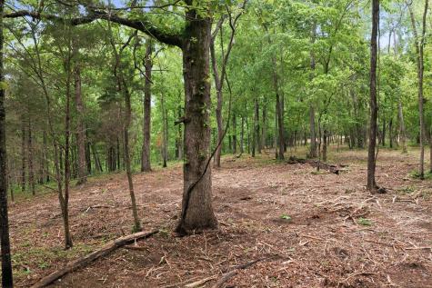 0 Willow Springs Road Lyles TN 37098