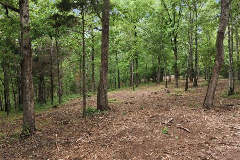 0 Willow Springs Road Lyles TN 37098