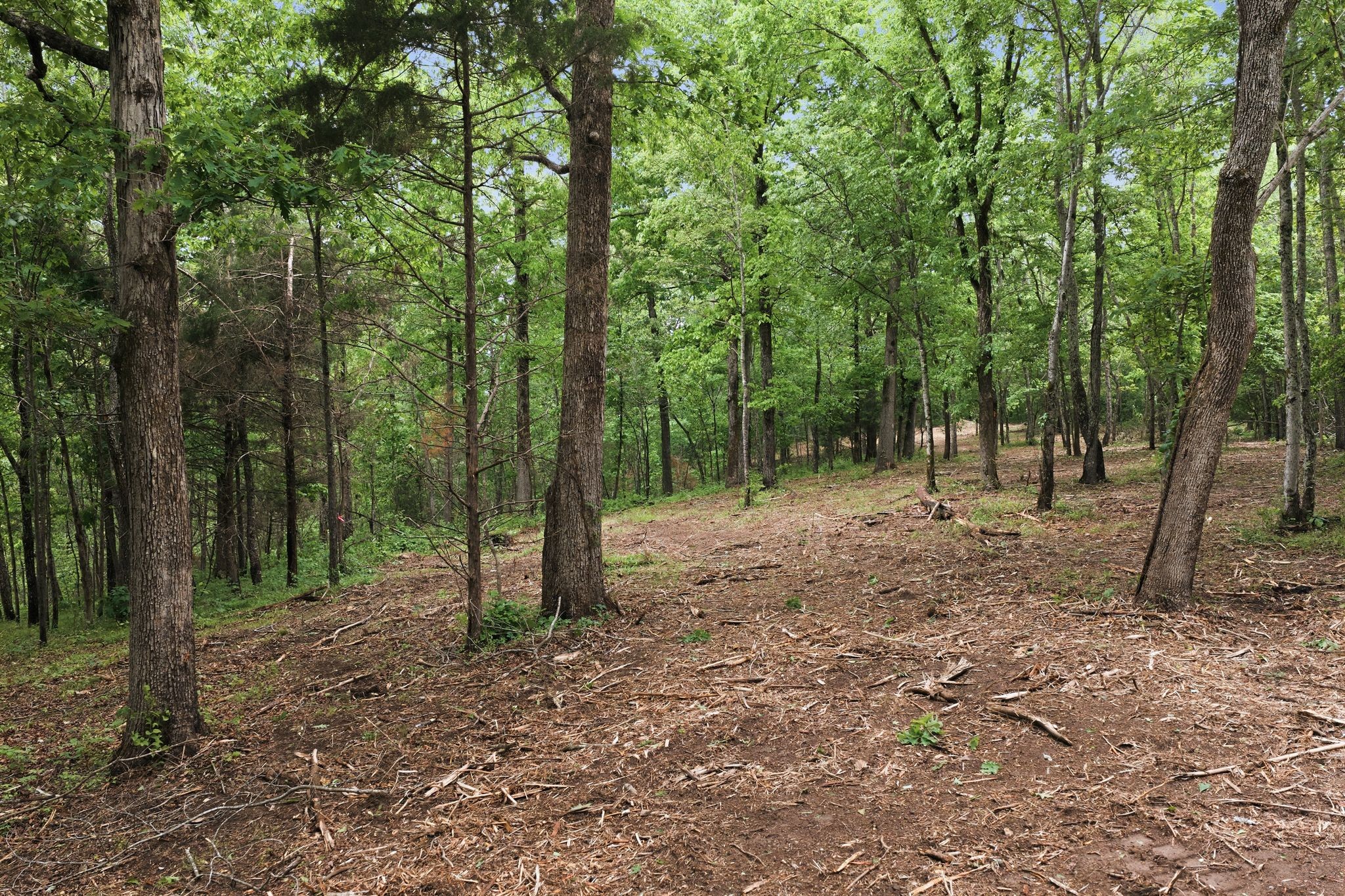 0 Willow Springs Road Lyles TN 37098