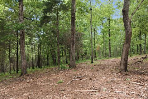 0 Willow Springs Road Lyles TN 37098