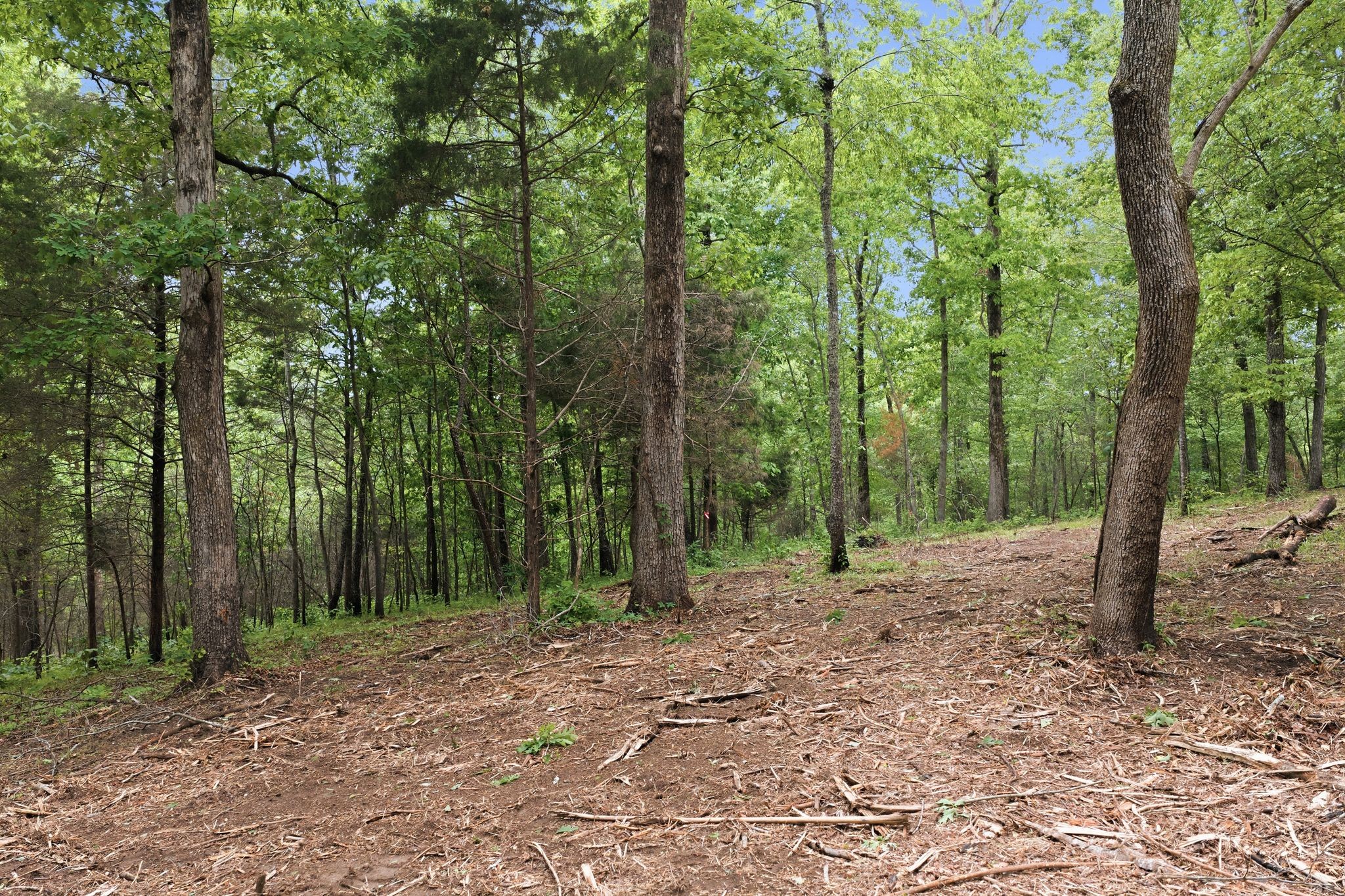0 Willow Springs Road Lyles TN 37098