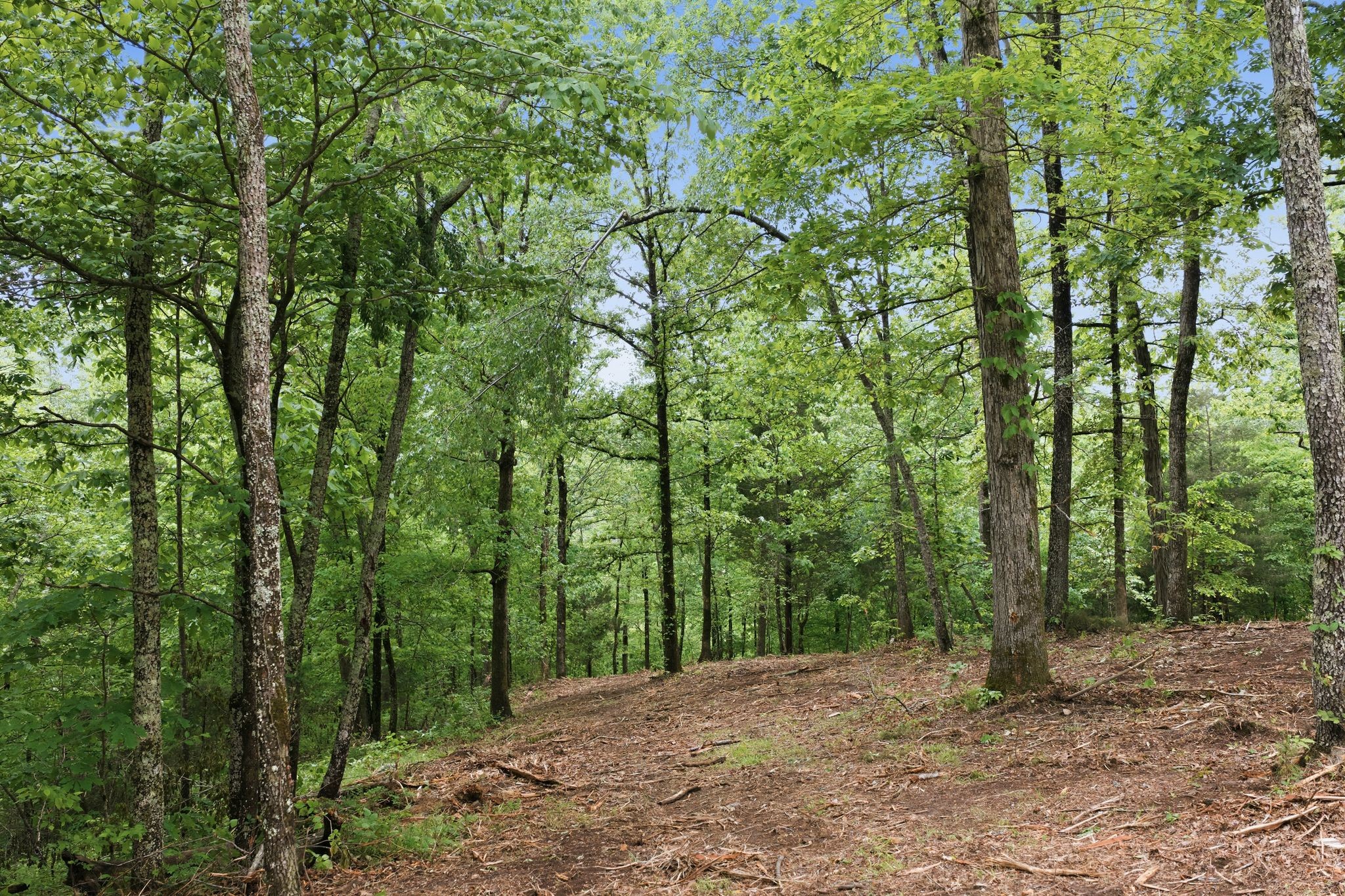 0 Willow Springs Road Lyles TN 37098