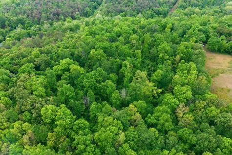 0 Willow Springs Road Lyles TN 37098