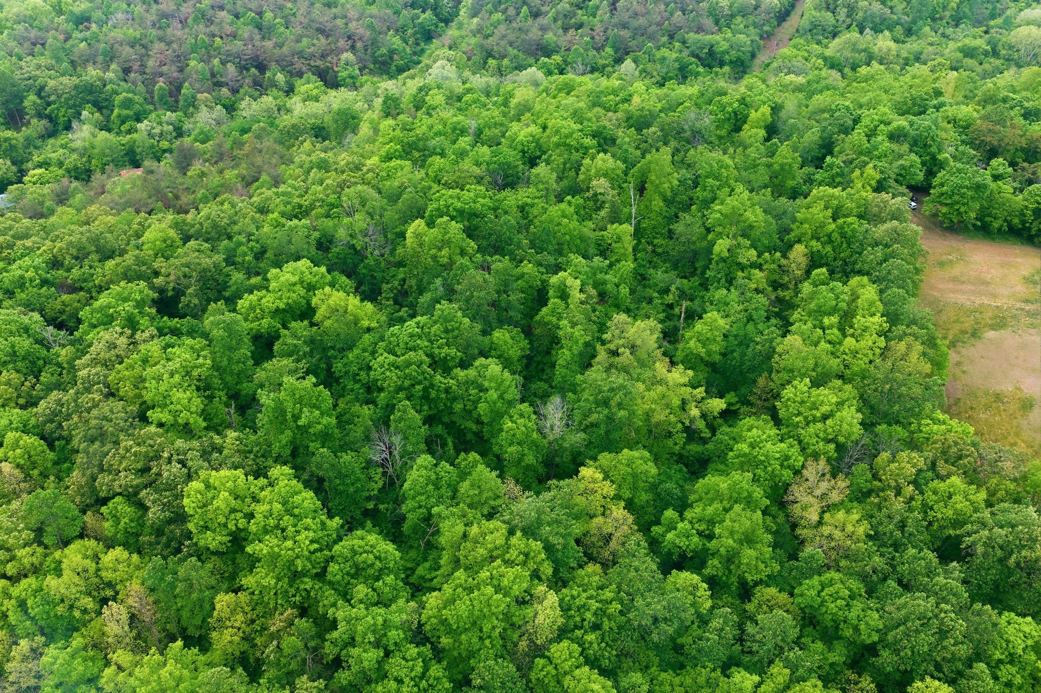 0 Willow Springs Road Lyles TN 37098