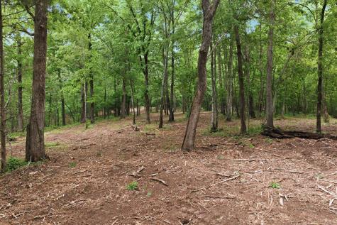 0 Willow Springs Road Lyles TN 37098