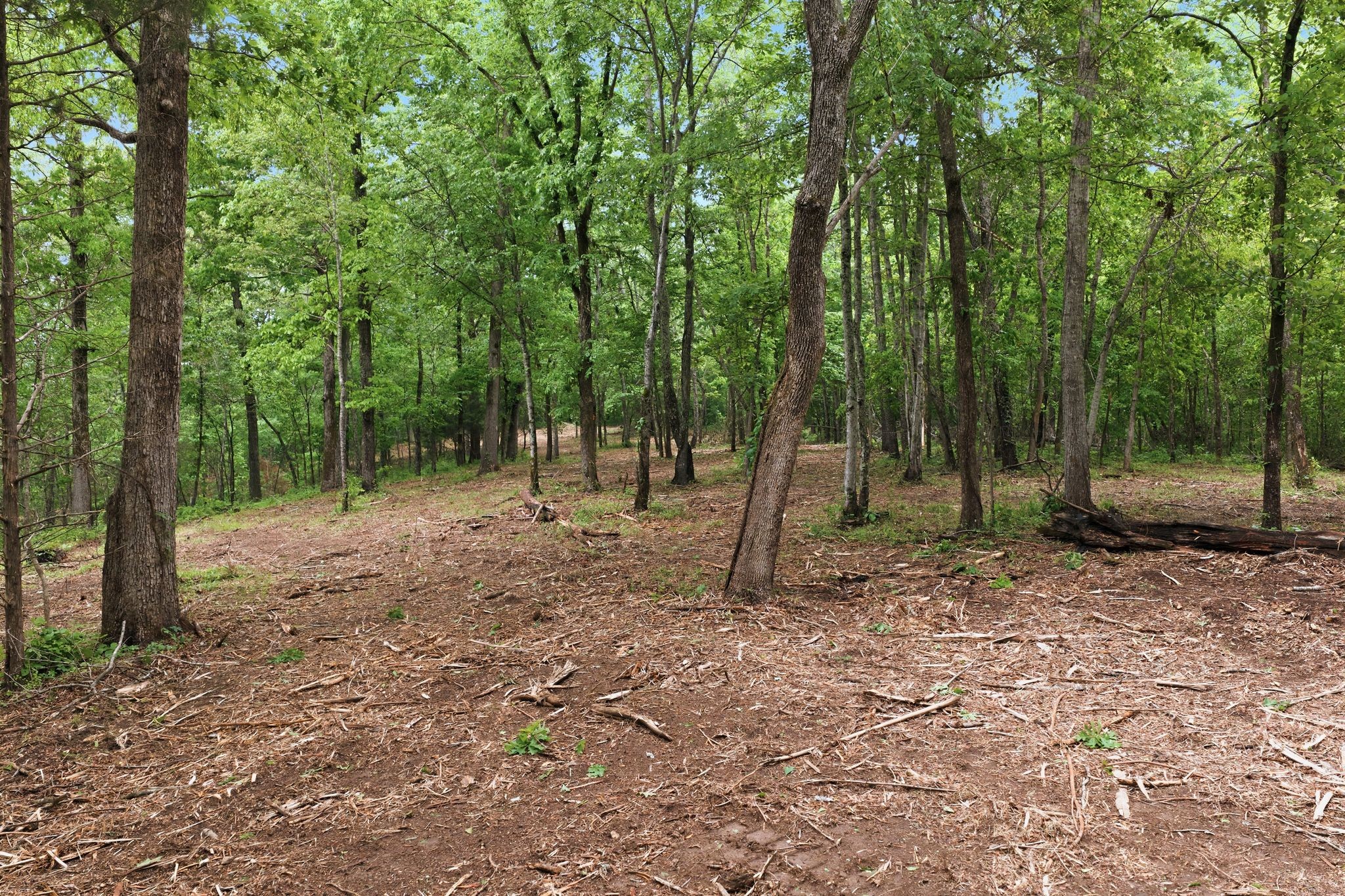 0 Willow Springs Road Lyles TN 37098