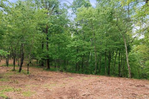 0 Willow Springs Road Lyles TN 37098