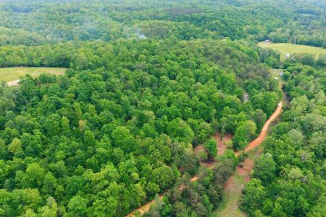 0 Willow Springs Road Lyles TN 37098