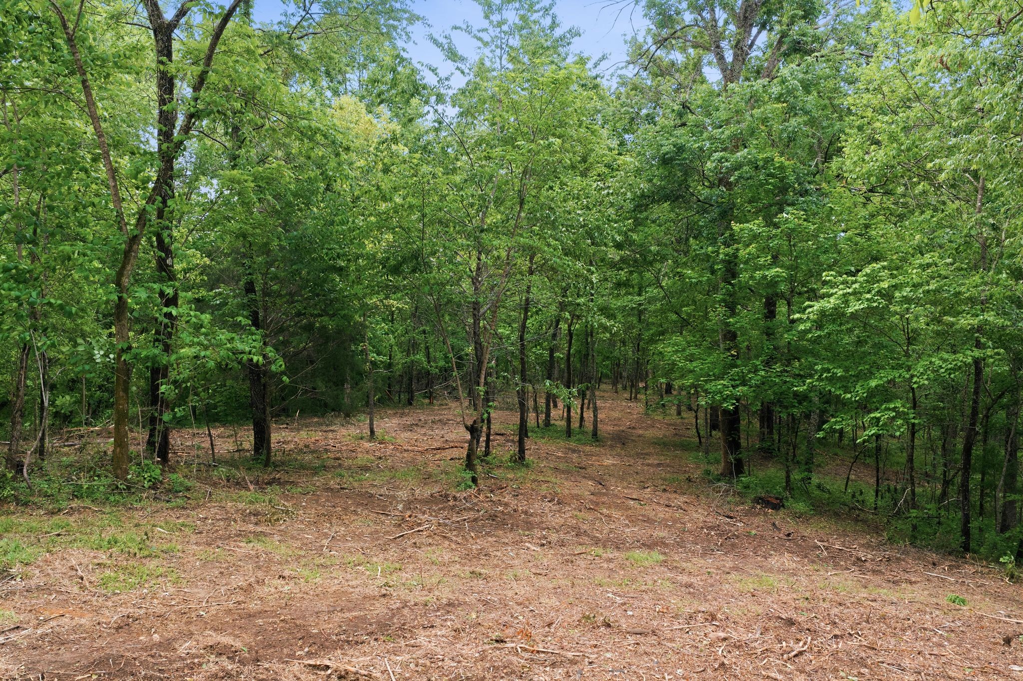 0 Willow Springs Road Lyles TN 37098
