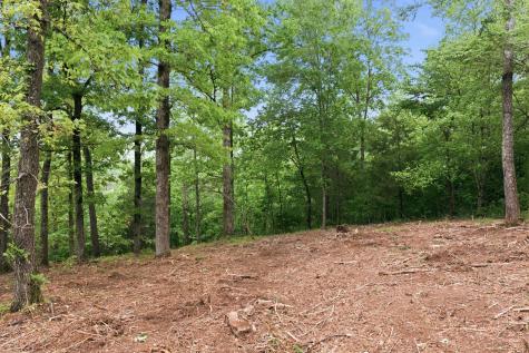 0 Willow Springs Road Lyles TN 37098
