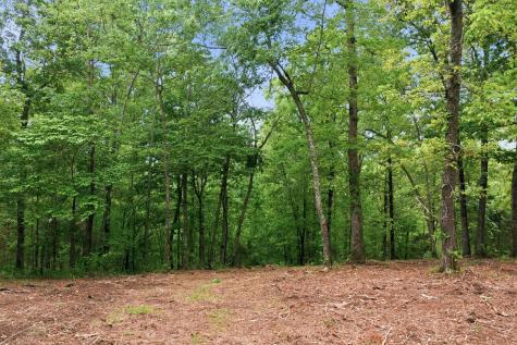 0 Willow Springs Road Lyles TN 37098