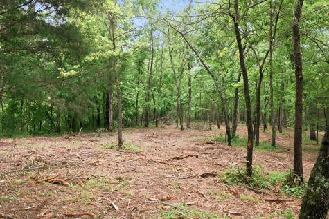 0 Willow Springs Road Lyles TN 37098