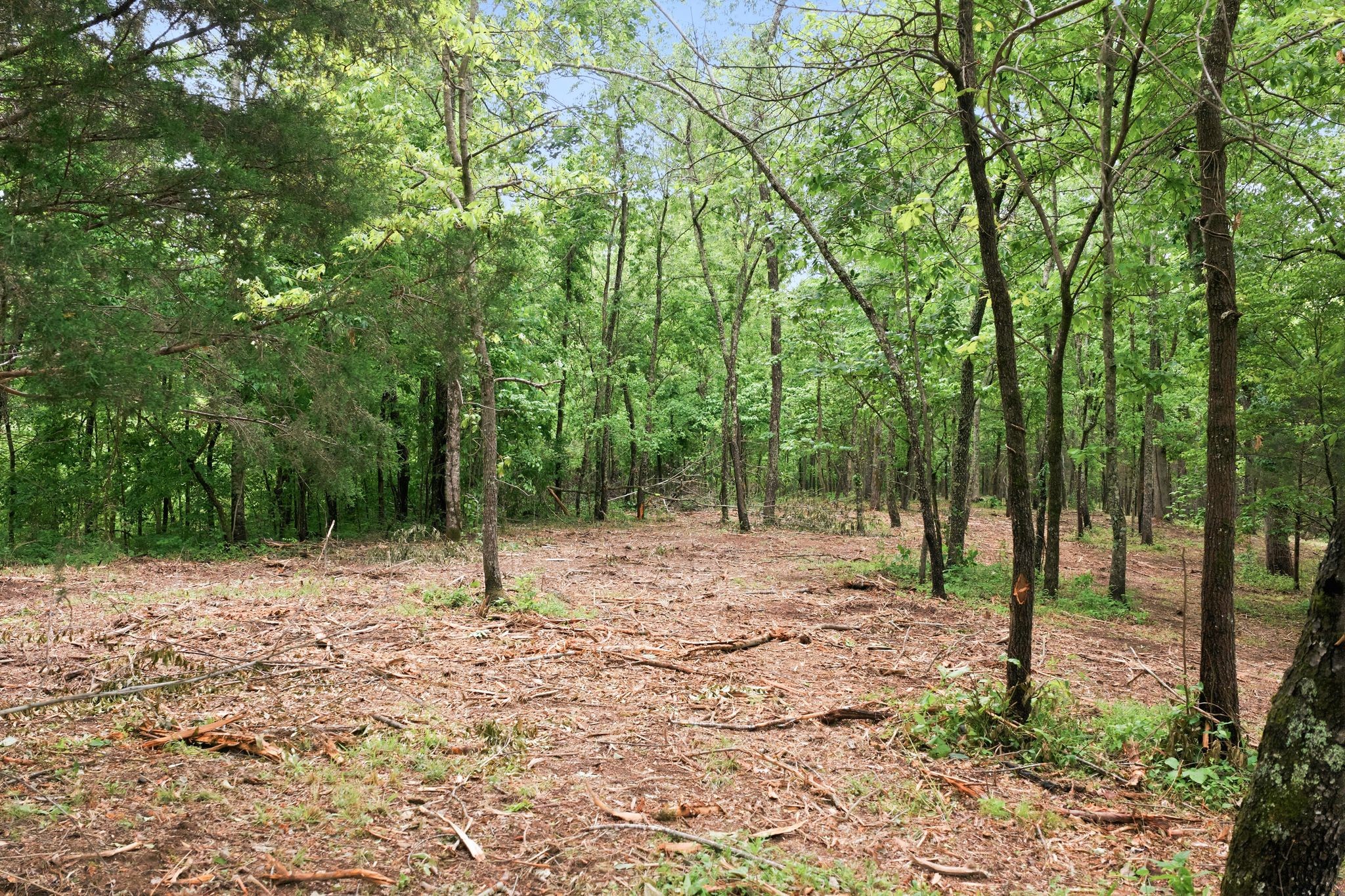 0 Willow Springs Road Lyles TN 37098