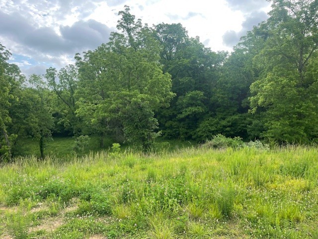0 Hilltop Road Shelbyville TN 37160