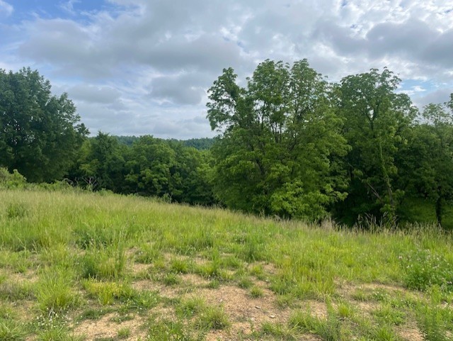 0 Hilltop Road Shelbyville TN 37160