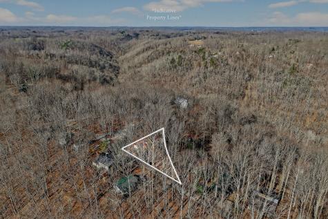 605 Holiday Haven Drive Smithville TN 37166