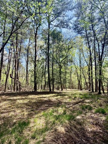 0 Timberwood Trace Lot 310 Monteagle TN 37356