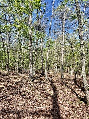 0 Timberwood Trace Lot 310 Monteagle TN 37356